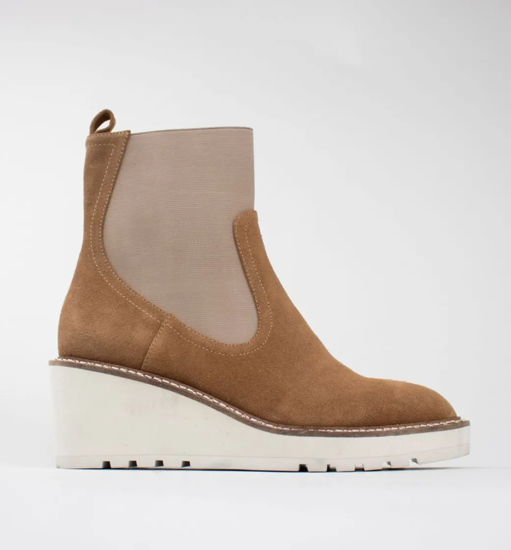 Ginger