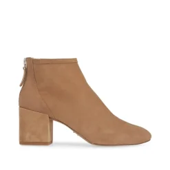 Nolton